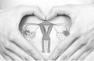 到底怎么调理，才能提高卵巢功能？
