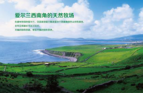 自然孕绿，为爱新生 | 绿爱，和你一样用心呵护你的宝贝