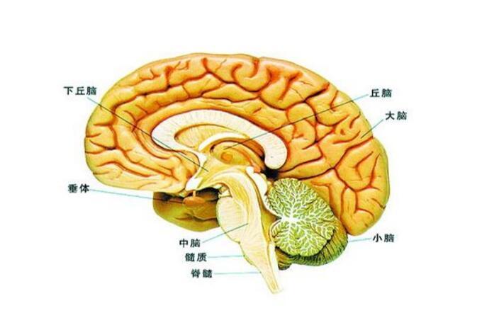 新生儿化脑的症状