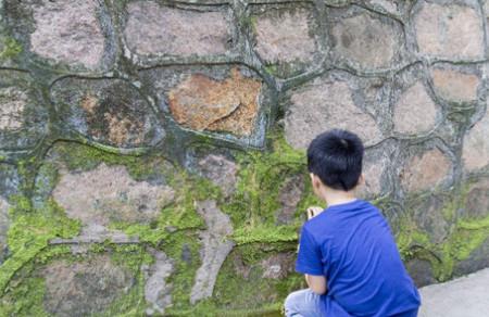 青春期发育迟缓的原因有哪些