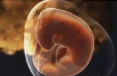 怀孕期间胎儿最怕什么