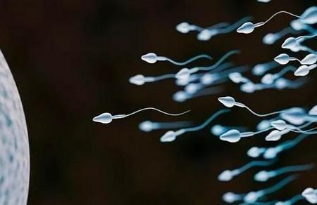 男性要孩子的注意事项，男性备孕需提前多久做准备