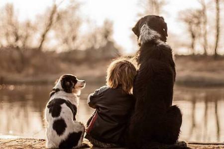 小儿孤独症的表现 当心这五种症状