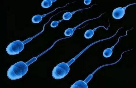 为什么难怀孕，精子和卵子的结合