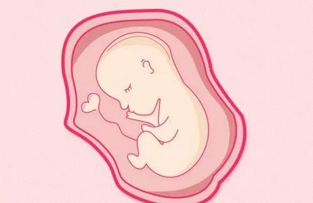 胎儿的排泄物从哪排出
