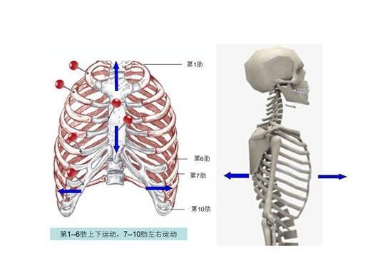 小儿肋骨外翻诊断方法