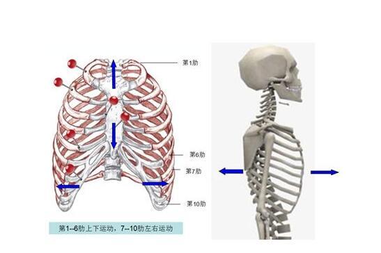 小儿肋骨外翻诊断方法