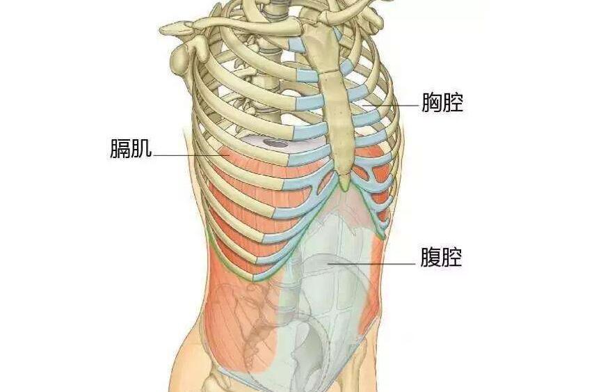 小儿肋骨外翻预防措施