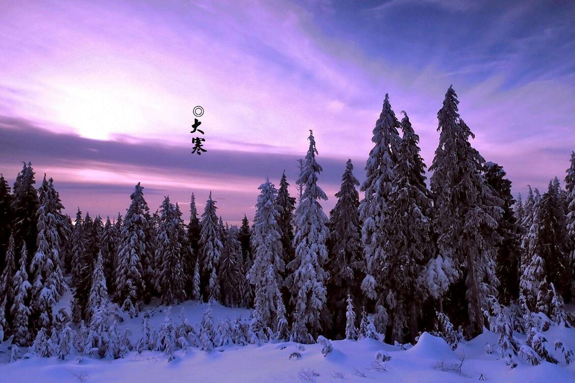 2019年大寒出生的猪宝宝好不好