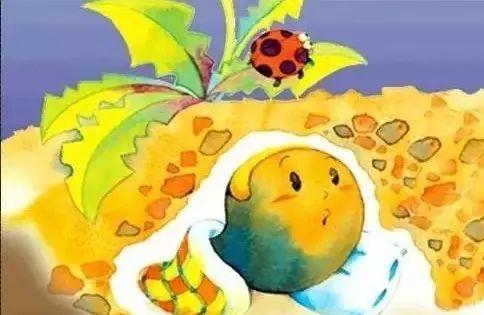 一粒种子的睡前故事