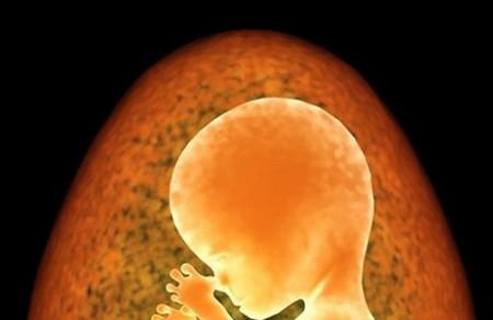 导致胚胎停育的原因有哪些