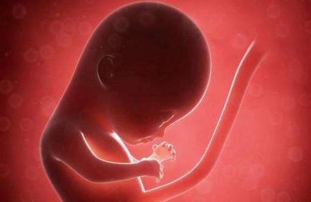 胎儿什么时候出生最好
