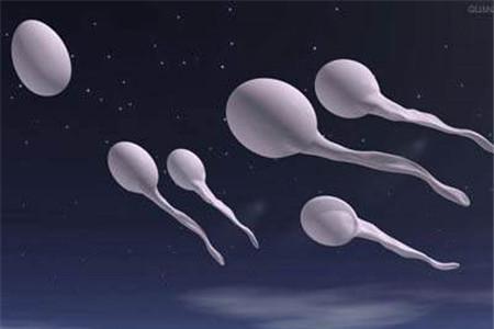 男性精子质量差的表现 男人出现这5个症状就一定要注意！
