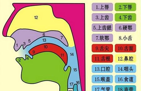 怎么提高自闭症孩子的语言表达能力