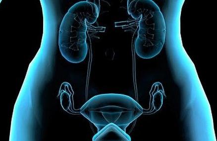 输卵管造影后需要注意什么