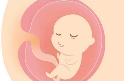 胎儿飞速生长期