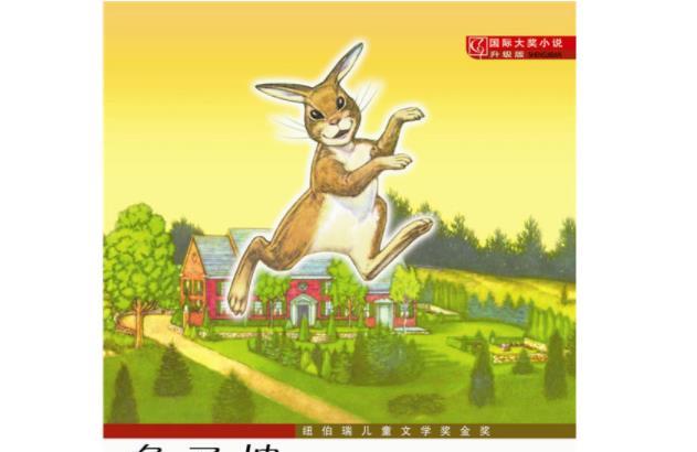 小学生必看的课外书籍推荐：国际大奖小说・升级版兔子坡