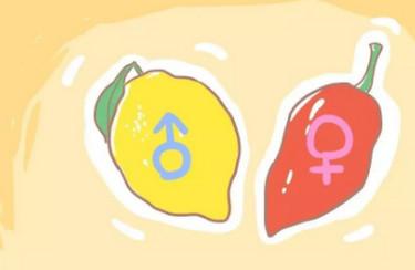酸儿辣女有科学依据吗