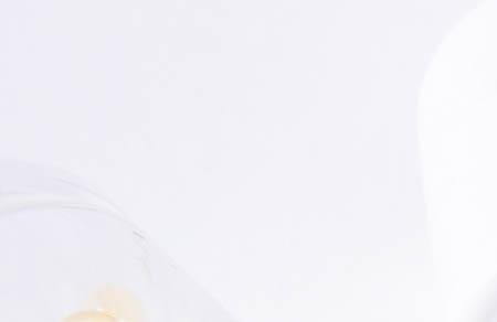 女生起名用字 女孩取名常用字分析