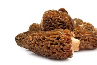 羊肚菌孩子可以吃吗