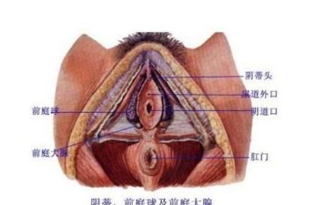 有巴氏腺囊肿能顺产吗 备孕期间就要做好准备