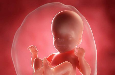 怎样才能预防胚胎停育