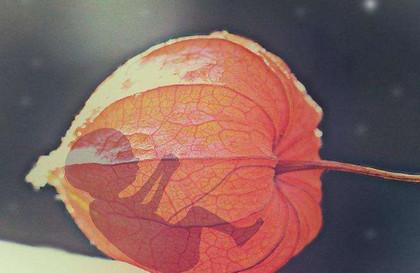 不想羊水偏低怎么办