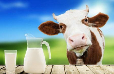孕期喝什么牛奶比较好