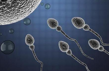 如何判断精子是否正常