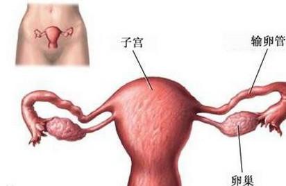 造成输卵管堵塞是什么原因