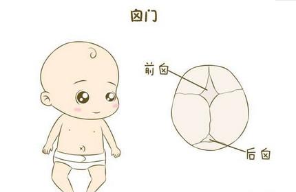 宝宝囟门怎么护理