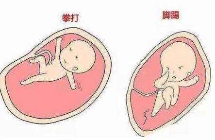 孕期胎动多少正常