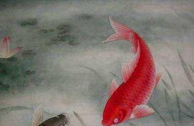 一条要去天涯海角的鱼的童话故事