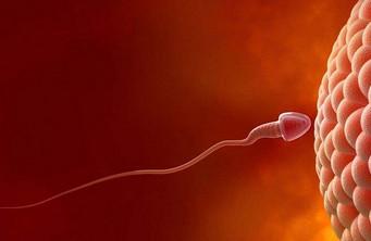备孕怎么提高精子质量