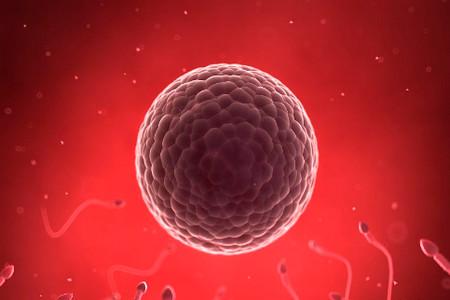 精子和卵子不结合是什么原因