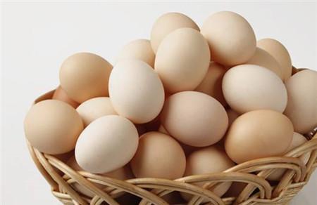 减肥吃鸡蛋还是鸭蛋好 两种蛋类有什么区别呢？