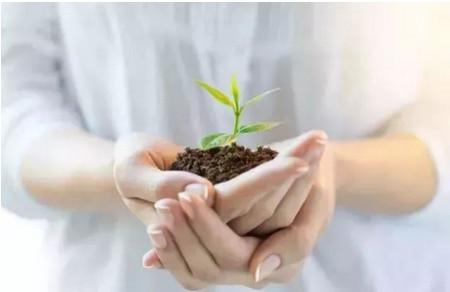 子宫内膜薄应该怎么办