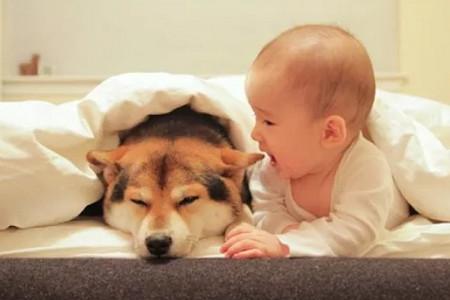 2018宝宝起名攻略