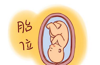 胎位多少周就固定了