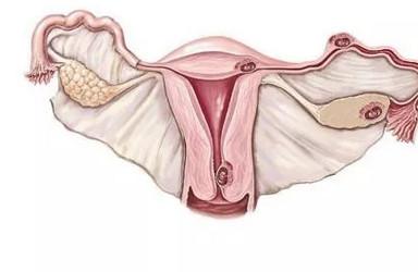 子宫内膜异常怎么办