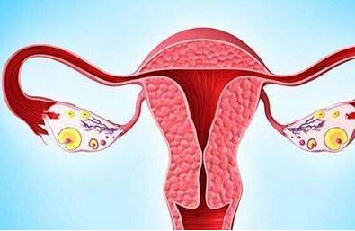 卵巢功能异常有哪些表现