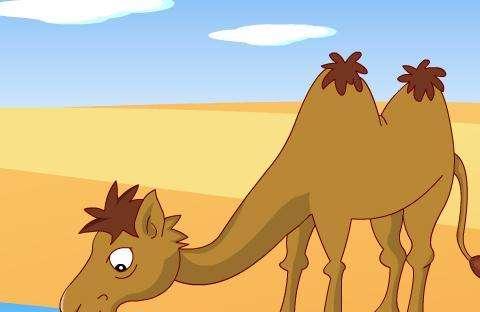 小骆驼：胜利靠自己的胎教故事