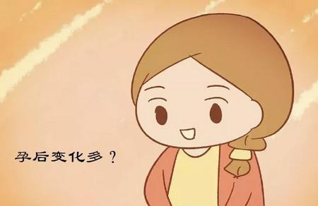 怀孕后孕傻是怎么回事