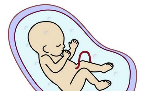 胎儿发育迟缓的原因有哪些