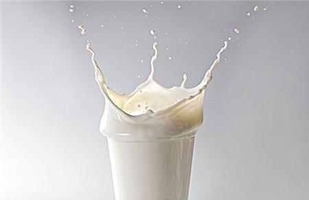 睡前喝牛奶可以减肥么 牛奶真的有减肥效果吗？
