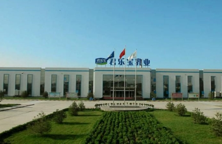 放眼立足点建立大局意识，解读排名前十的婴儿奶粉有何不同