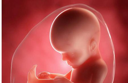 胚胎停育有什么明显表现
