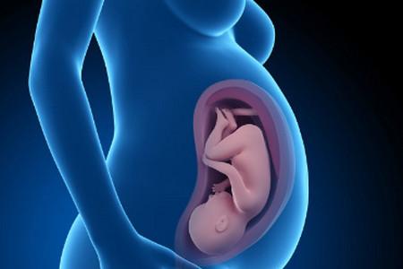 股骨长短决定胎儿的身高吗