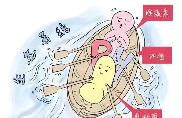 阴道微生态失调会导致不孕吗