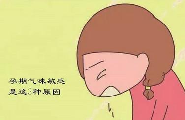 孕期对气味敏感是什么原因